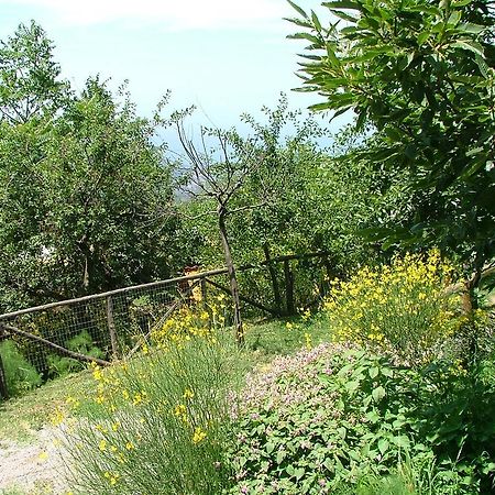 Agriturismo La Ginestra Villa Vico Equense Exterior photo