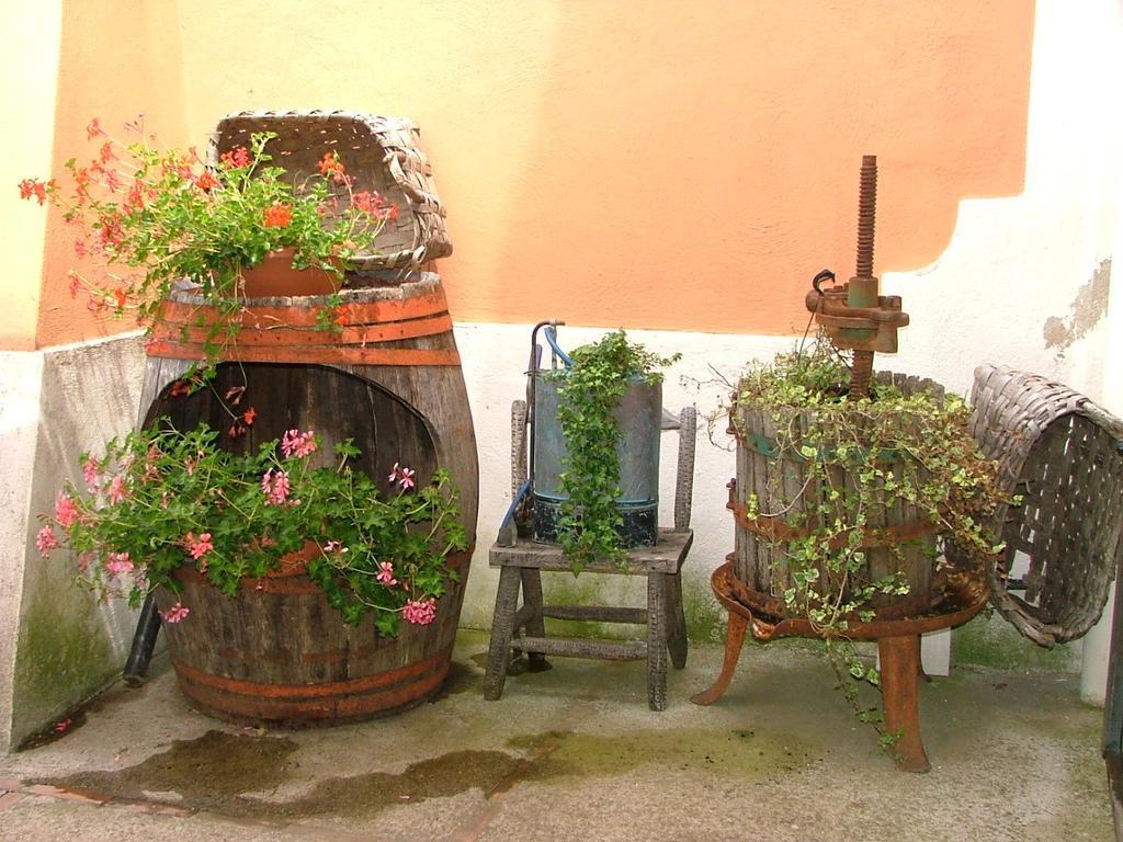 Agriturismo La Ginestra Villa Vico Equense Room photo