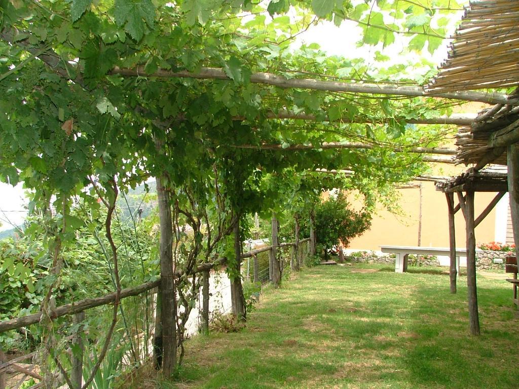 Agriturismo La Ginestra Villa Vico Equense Exterior photo