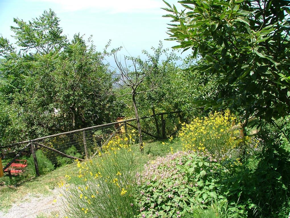 Agriturismo La Ginestra Villa Vico Equense Exterior photo